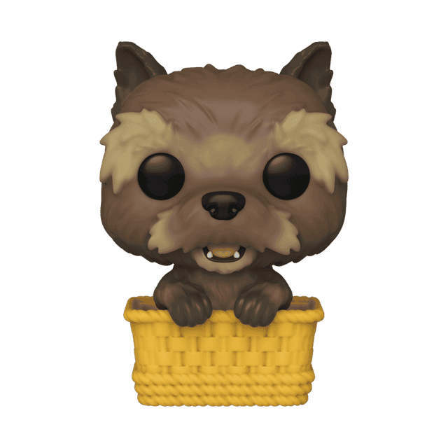 toto in basket exclusive white background 1276