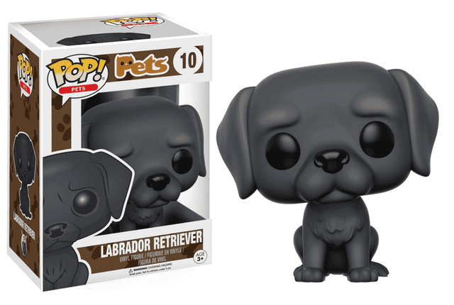 labrador retriever 10