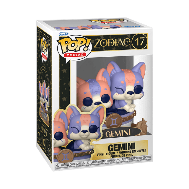 gemini 17