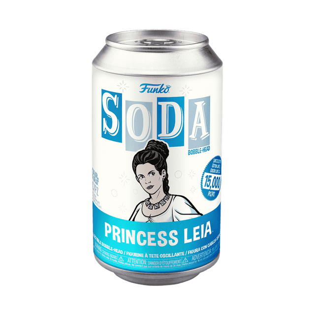princess leia chase