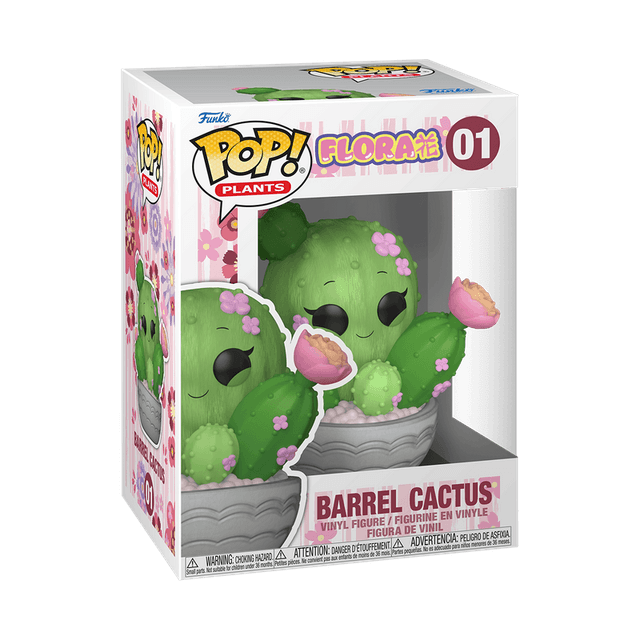 barrel cactus 01