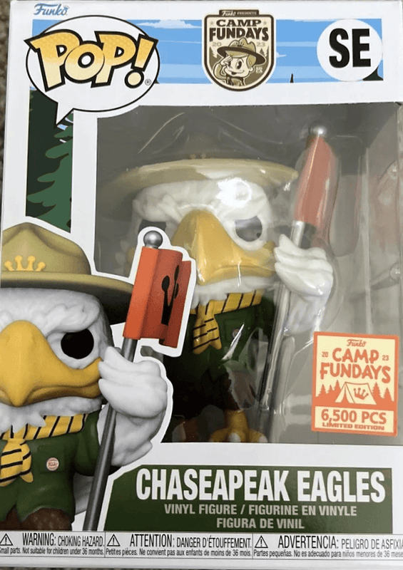 chaseapeak eagles camp fundays
