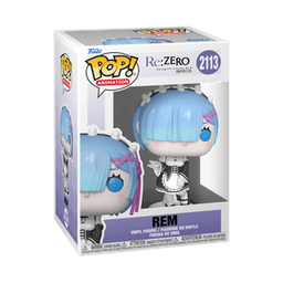 rem 2113