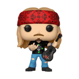 bret michaels 207