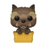 toto in basket exclusive white background 1276