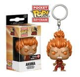 akuma only gamestop