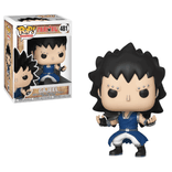 gajeel 481