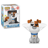 max with cone 764
