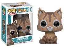 maine coon 12