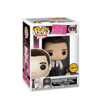 narrator with power animal chase 919