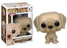 labrador retriever 5