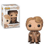 gilderoy lockhart 59