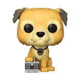 einstein exclusive white background 1274