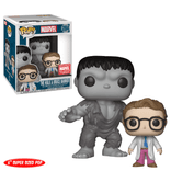 The Hulk & Bruce Banner #284 Funko Pop