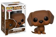 dachshund 7