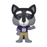 harry the husky 03