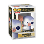 aquarius 13