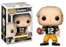 terry bradshaw 85