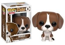 beagle 06