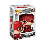 the flash 208