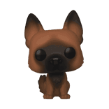 dog 891