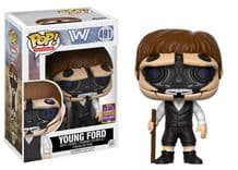 young ford summer convention 491