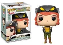 hawkgirl 223
