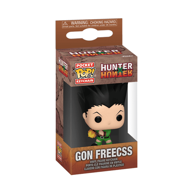 gon freecss rock