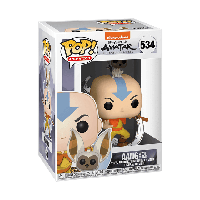 aang with momo 534