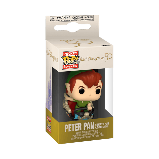 peter pan at the s flight attraction