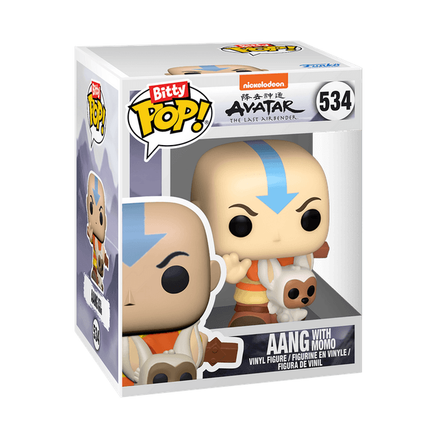 aang with momo 534