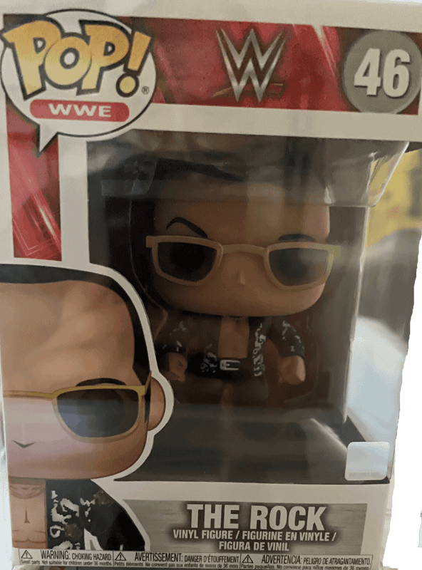 the rock chase wwe 46